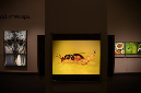 Wasp_exhibition__DSC3504